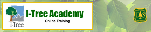 Academy.PNG